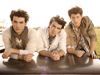 Jonas Brothers in Action