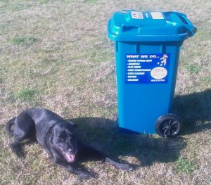 A happy dog in Centennial Park next to Brett the Steve Irwin-lookalike's bins