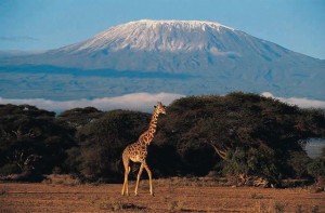 Mt Kilimanjaro in Africa - site of the Humpty Dumpty Foundation's Ultimate Burn